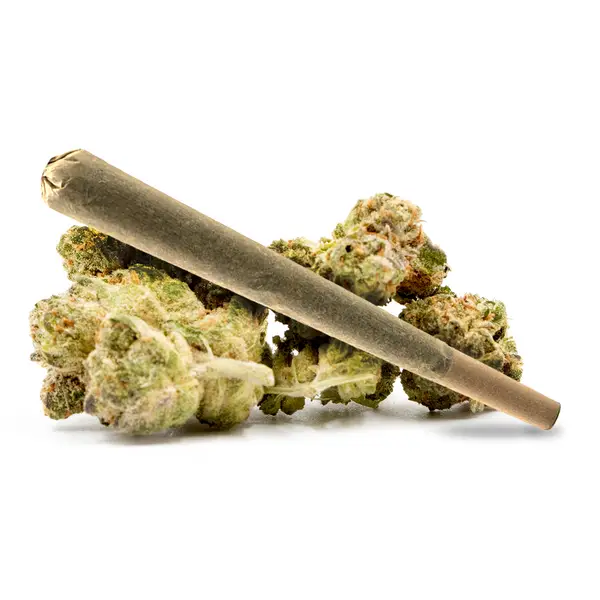 Fuelato Pre Roll