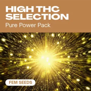 High THC Selection Fem