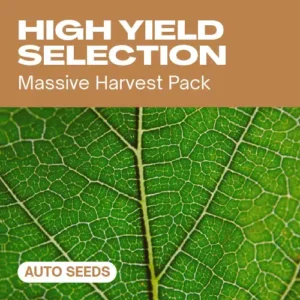 High Yield Selection Auto