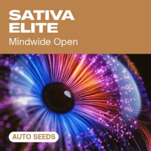 Sativa Elite Auto