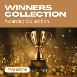 Winners Collection