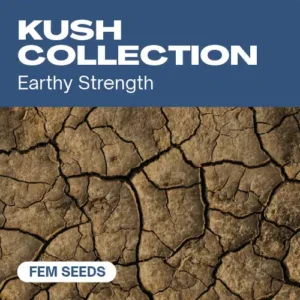 Kush Collection