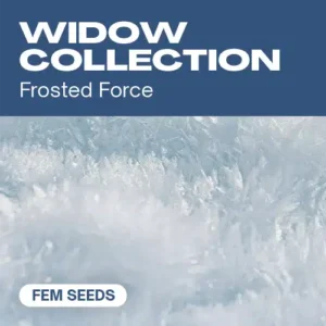 Widow Collection