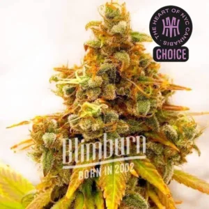 Lemon Tree x Z OG HMC Edition