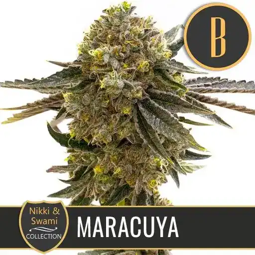 Nikki & Swami’s Maracuya - Image 2