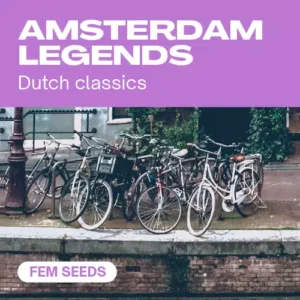 Amsterdam Legends