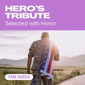 Hero’s Tribute