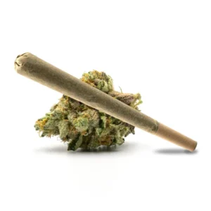 Pink Obama Pre Roll