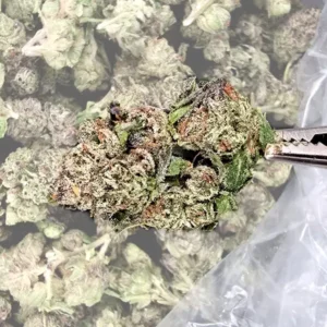 Purple Haze THCA Flower