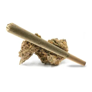 RS11 Pre Roll