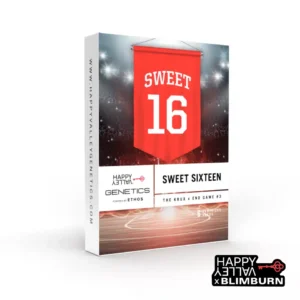 Sweet 16
