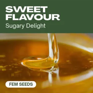 Sweet Flavour