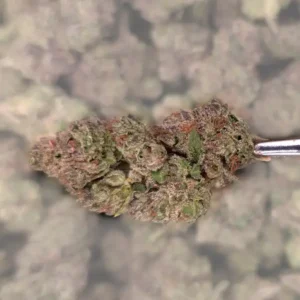 Tiramisu THCA Flower