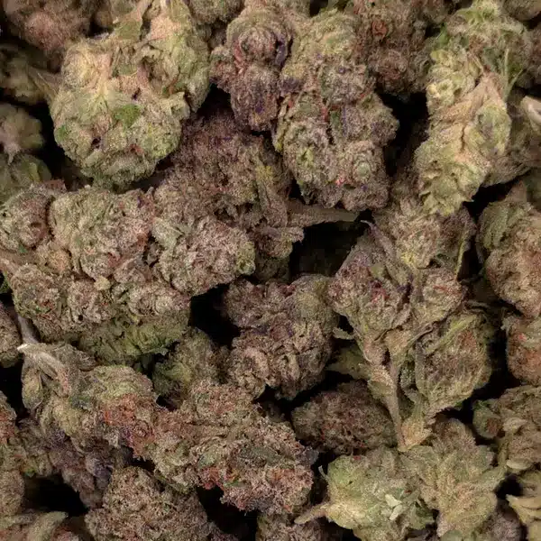 Tiramisu THCA Flower - Image 2