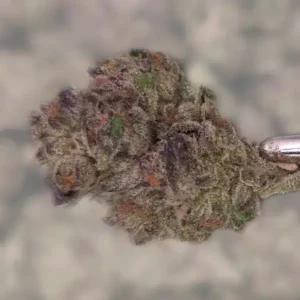 Z Runtz THCA Flower