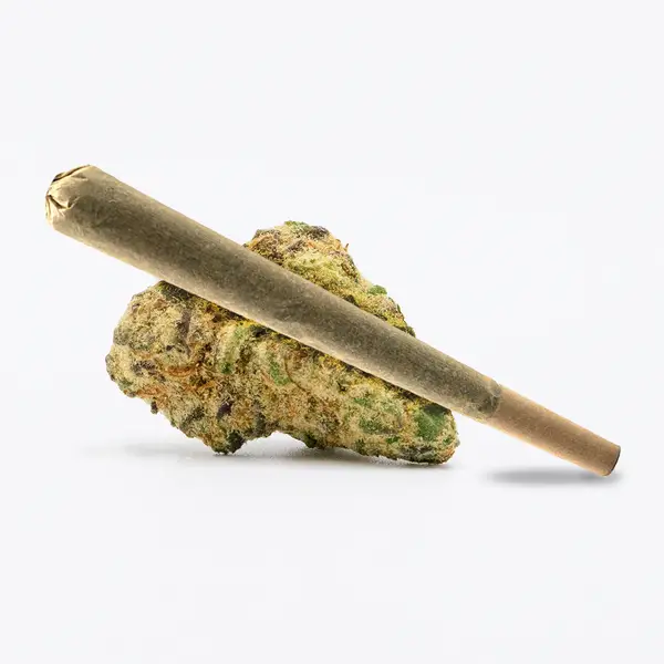 Zapphire Pre Roll